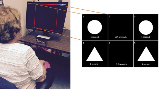 a patient staring at a computer screen with an inset showing shapes in a visual test