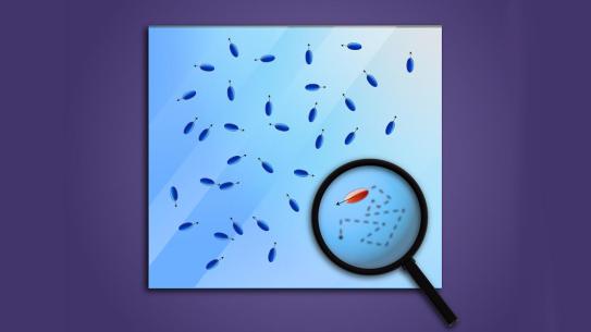 small moving particles with one magnified under glass