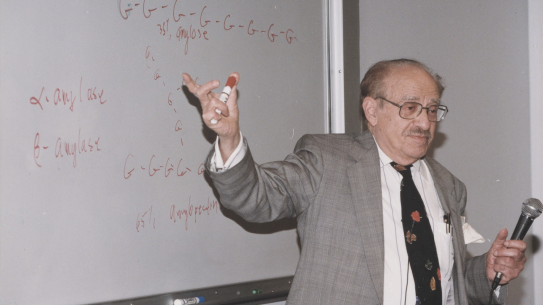 Joseph Wades pointing in front of a white board during a seminar
