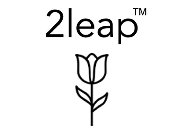 2leap Trademark Holistic Mentoring for Faculty