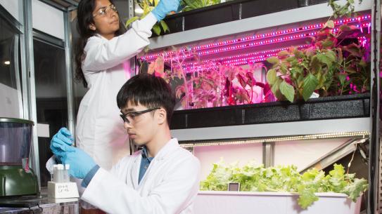Students working in the vertical farms with lab coats